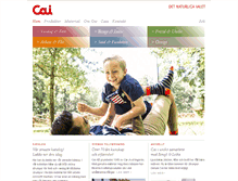 Tablet Screenshot of cai.se
